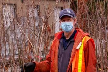 An UTRCA worker prepares trees for the 2021 London Hydro Tree Power Program. April 8, 2021. (Photo via Upper Thames River CA on Flickr.)