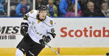 Cliff Pu of the London Knights. (Photo courtesy of Terry Wilson via OHL Images)