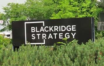 Blackridge Strategy on Wellington St. (File photo by Miranda Chant, Blackburn News)