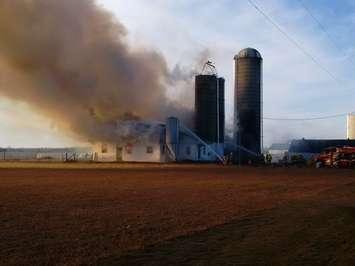 85 cows killed in barn fire on Sunset Dr. February 1, 2016. Photo courtesy of Elgin OPP
