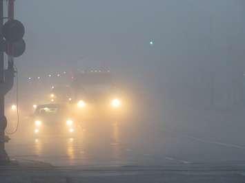 Vehicles travelling in the fog through downtown London, November 24, 2022. (Photo by Miranda Chant, Blackburn Media)