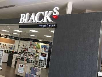 Blacks' store inside White Oaks Mall. June 9, 2015. Photo by Ashton Patis. 