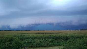 A thunderstorm over Hillman Marsh, August 27, 2016.  (Photo courtesy of Robert Longphee)