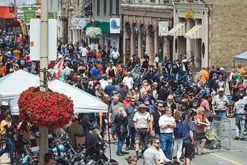 Thousands of people pack Main Street for Lucan Baconfest. Photo from www.lucanbaconfest.ca. 