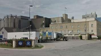 Photo of the Labatt Brewery courtesy of Google Street View. 