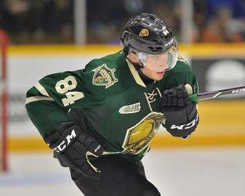 JJ Piccinich of the London Knights. (Photo courtesy of Terry Wilson via OHL Images)