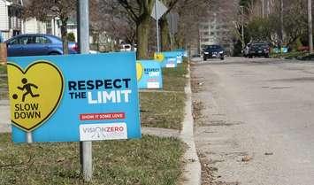 Respect the Limit lawn signs line Foster Ave. in London, April 23, 2018. (Photo by Miranda Chant, Blackburn News)