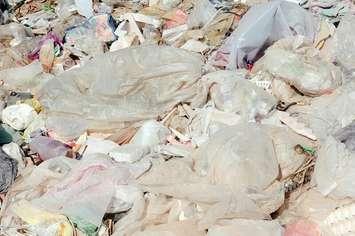 Plastic bags at a landfill. File photo courtesy of © Can Stock Photo / somchaip