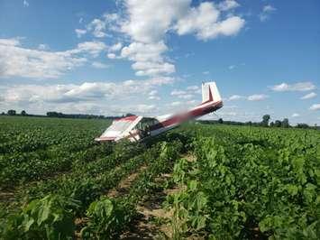 A plane crash near Tillsonburg, ON. (Photo by Oxford County OPP)
