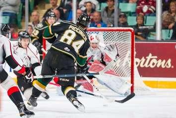 JJ. Piccinich of the London Knights. Photo by Terry Wilson / Aaron Bell / OHL Images.