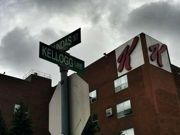Kellogg Lane (Photo by Avery Moore/BlackburnNews.com)