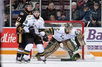The London Knights take on the Sarnia Sting, February 22, 2015. (Photo courtesy of Metcalfe Photography)