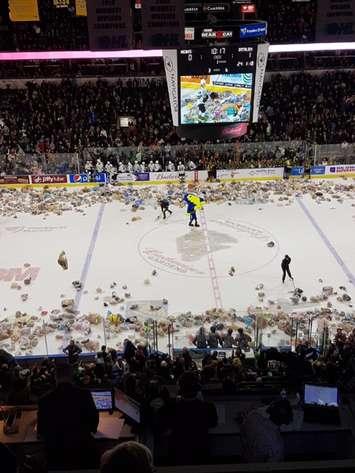 Teddy bears are cleared off the Budweiser Gardens ice during the London Knights annual Salvation Army event on December 2, 2017. Submitted photo, used with permission.