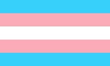 The transgender flag. Photo courtesy of Kat Love via Pixabay.