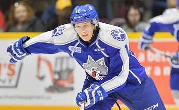 Brady Pataki of the Sudbury Wolves. Photo by Terry Wilson / OHL Images.