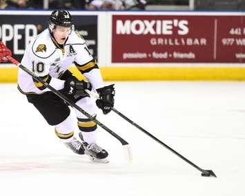 Christian Dvorak of the London Knights. (Photo courtesy of Aaron Bell via OHL Images)