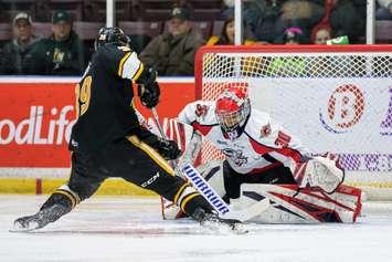 The Sarnia Sting take on the Windsor Spitfires, February 7, 2020. (Photo courtesy of Metcalfe Photography)