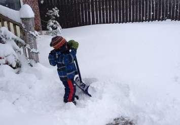 A child shovels snow. (File photo by Melanie Irwin, Blackburn News)