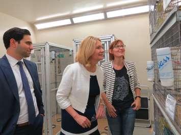 London North Centre MP Peter Fragiskatos, London West MP Kate Young and Associate Biology Professor Beth MacDougall-Shackleton examine zebra finches at Western University's Advanced Facility For Avian Research, September 15, 2017. (Photo by Miranda Chant, Blackburn News) 