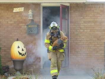 A firefighter rescues a dog from a simulated house fire in east London, October 10, 2017. (Photo by Miranda Chant, Blackburn News)