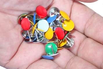 A person holds a bunch of thumb tacks. File photo courtesy of © Can Stock Photo / tartaro