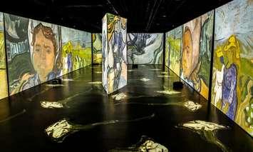 Imagine Van Gogh immersive exhibition. File photo from www.imagine-vangogh.com