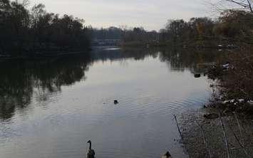 The Thames River at Wonderland Rd. and Riverside Dr. (File photo by Miranda Chant, Blackburn News)